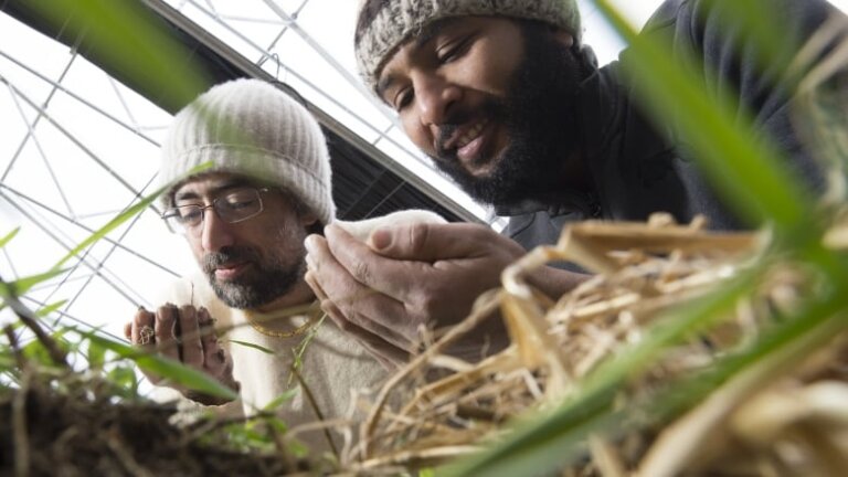 Cannabis Co-ops the Future for Small Producers?