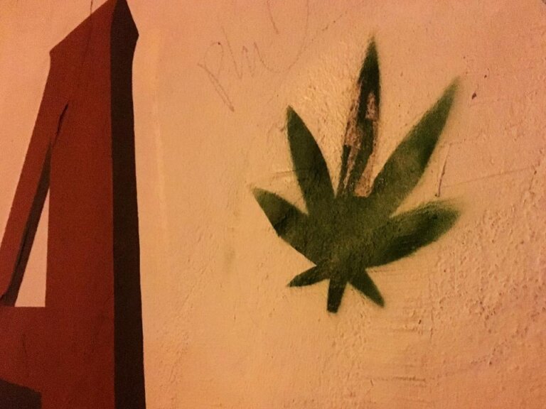 Cannabis Degrees and Courses at US Universities Sign of the Times