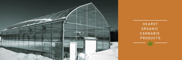 Hearst Organic: LP Spotlight