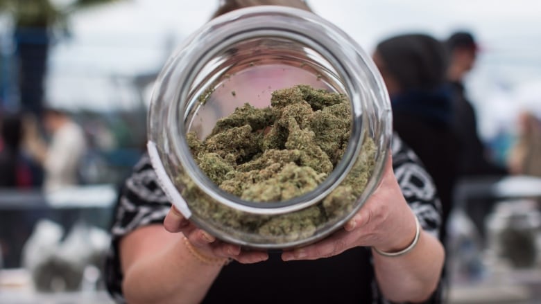 Sask Indigenous Pot