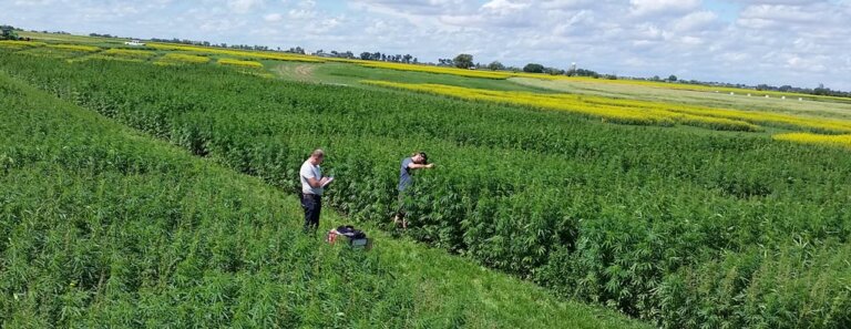 InPlanta Biotechnology Inc. – LP Spotlight