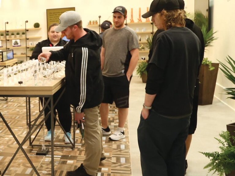 Twelve Licence Applicants Disqualified in Ontario