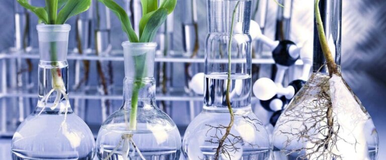 Evergreen Suspension Latest in Compliance Shortfalls