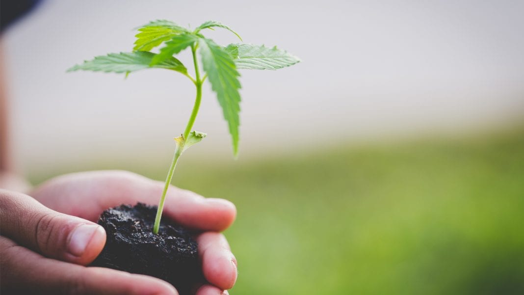 Istock Tinnakorn Jorruang X