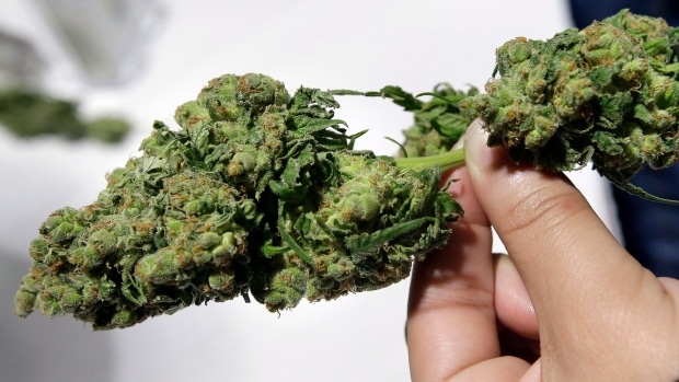 Cannabis Retail Roadblocks Coming Down in Ontario, US