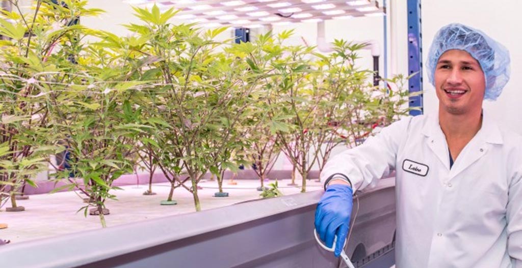 Certified Organic Cannabis Habitat Banner