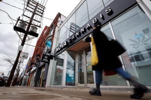 73% of pot purchases from legal sources, up from 37% in 2019: Health Canada