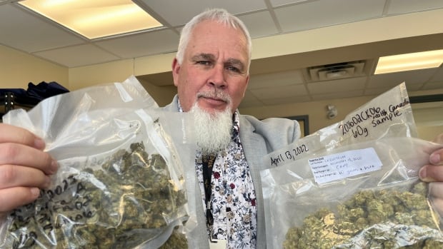 How a cannabis crash is weeding out the field, while it’s a slow burn for others trying to survive