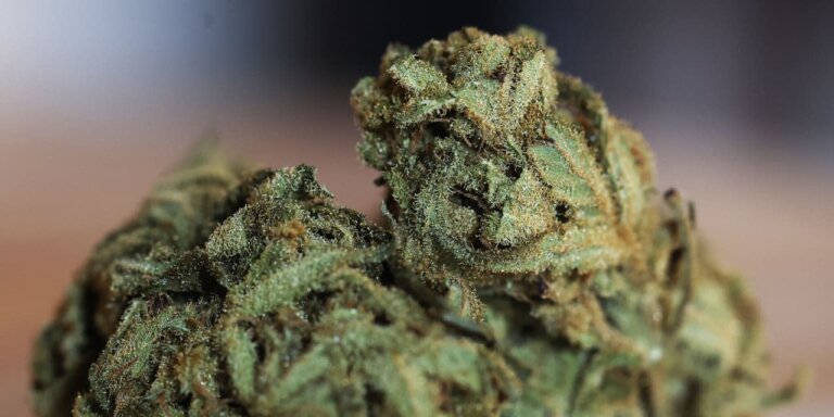 Cannabis Legalization Is Very Popular. Here’s Why the Stocks Aren’t.