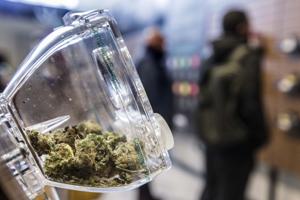 Researchers conducted the largest ever study on the impact of cannabis on brain function. Here’s what they found