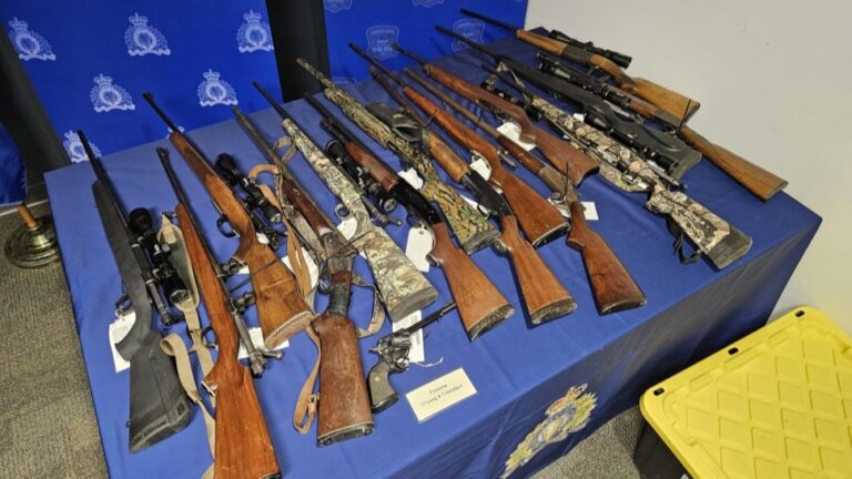 N.S. RCMP seize 17 long guns, arrest 21 people at illegal cannabis stores