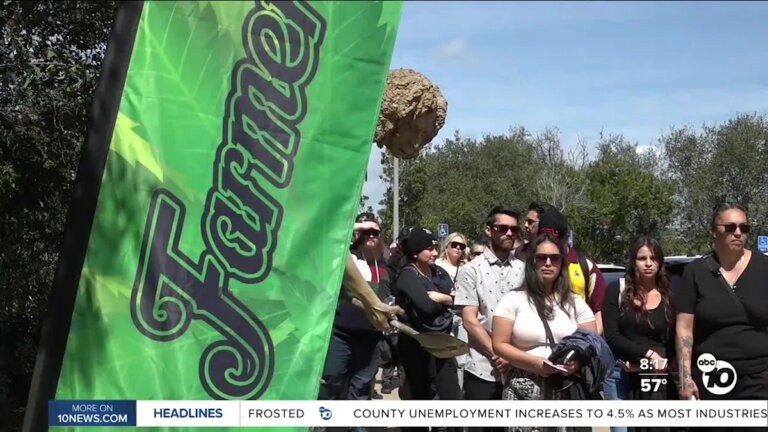 Farmer’s Cup Blazes Trail for Cannabis in San Diego