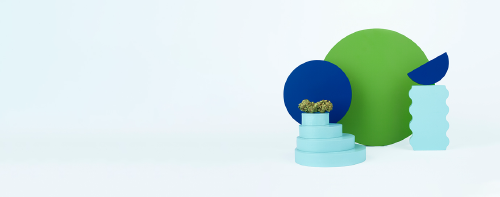 IM Cannabis Corp (IMCC) Q4 2024 Earnings Call Highlights: Record Growth in Germany Amidst Challenges