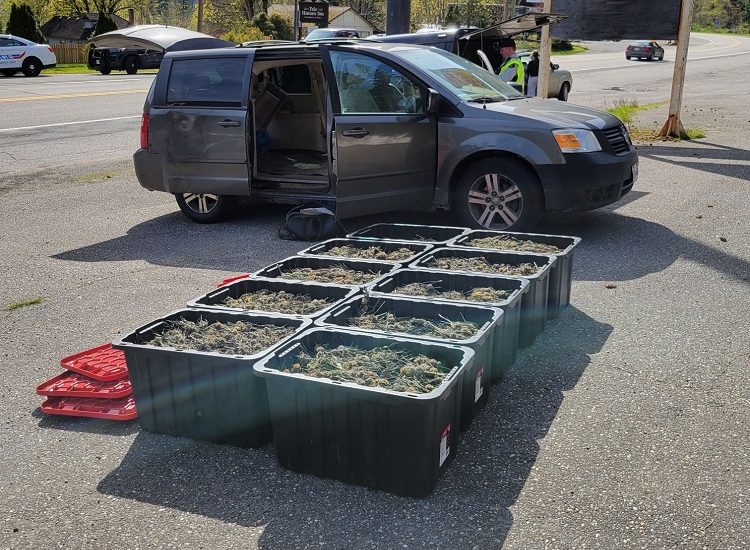 Driver arrested allegedly transporting dozens of kilograms of cannabis