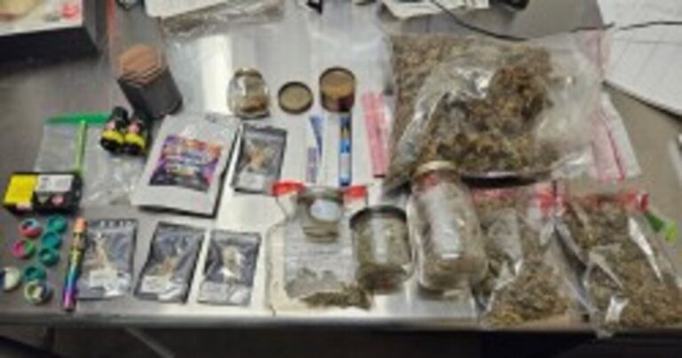 Cambridge man allegedly found with suspected cannabis and psilocybin in vehicle