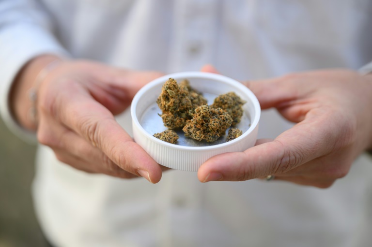 Q&A: Innovations in cannabinoid science and commerce