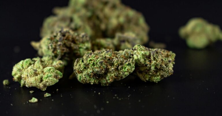 $200,000 in drugs seized from illegal cannabis dispensary on Tecumseh Road