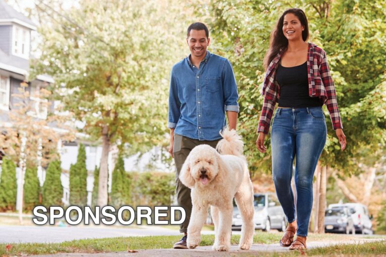 Curious About Cannabis? Tips for Your Lifestyle