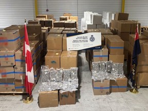 New Brunswick cannabis seizure the biggest in a decade, worth almost $50 million: CBSA
