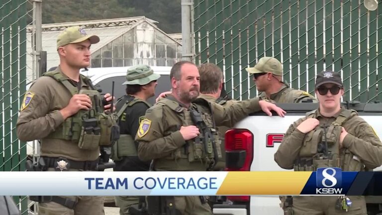 21 detained in Royal Oaks suspected illegal cannabis warehouse raid, no ICE involvement