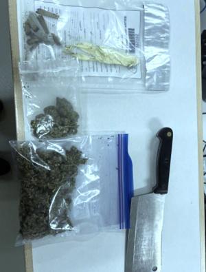 Toronto resident facing driving, weapons charges after 401 stop in Cambridge