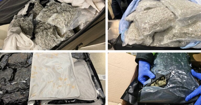 $1M of cannabis seized at Calgary International Airport over the last year: CBSA