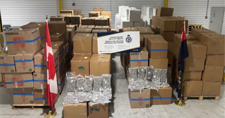 Officers seize 6,700 kilograms of suspected cannabis in Saint John, N.B.