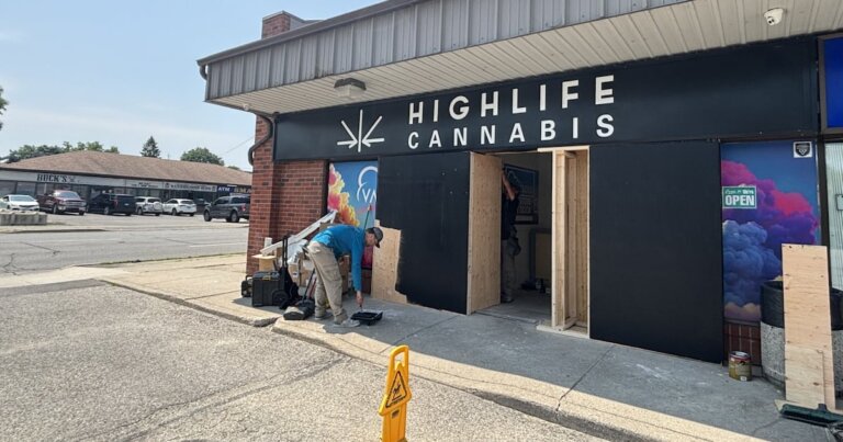 Vehicle crashes through Brantford cannabis store