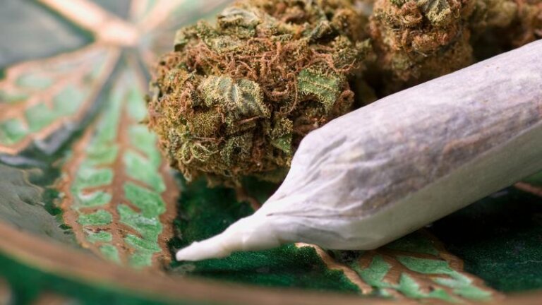 Alberta now allowing cannabis sales at events with minors