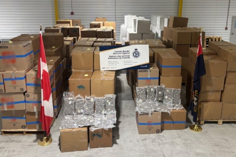Border Officers Seize $50M in Contraband Cannabis Destined for UK