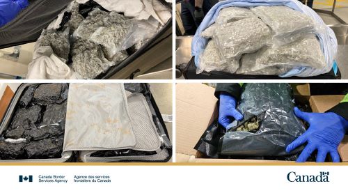 Border agents seize more than $1M of illegal cannabis in Calgary over a year