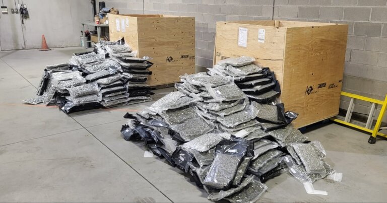 OPP bust $8M illicit cannabis operation in Ontario