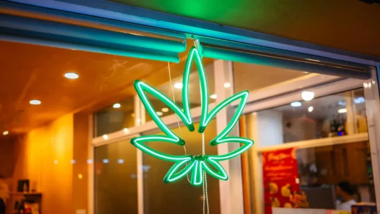 Retail Bulls Pile Into Cannabis Stocks On Reports Trump May Reclassify Marijuana Traders Eye Aurora Rally