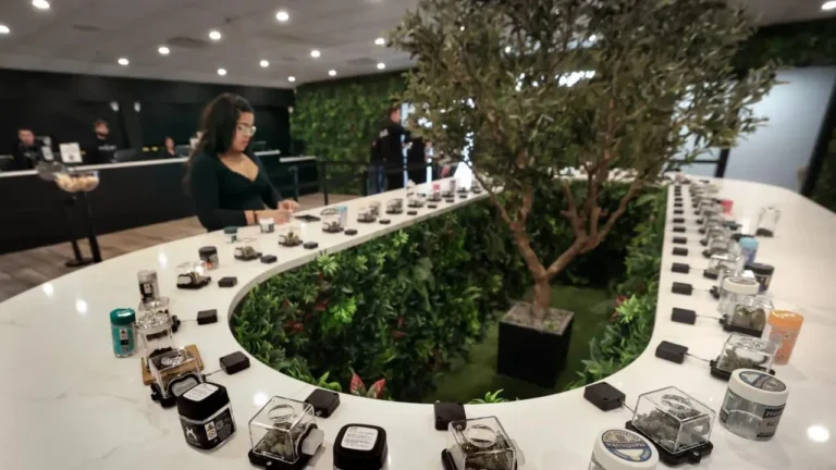 Microcap Cannabis Stock VFF Is Having A ‘Trump Pump’ Moment – And Retail Traders Feel Bullish Ahead Of Q2 Earnings