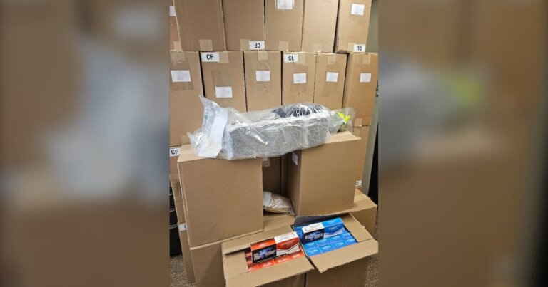 Sask. RCMP seize 500,000 illicit cigarettes, cannabis and cocaine during traffic stop