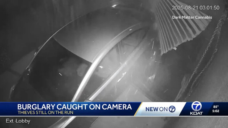 Burglars use stolen car to break into Albuquerque cannabis shop