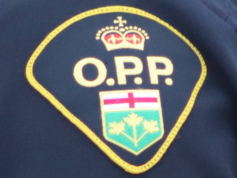 More than 1,500 charges laid in OPP long weekend traffic blitz