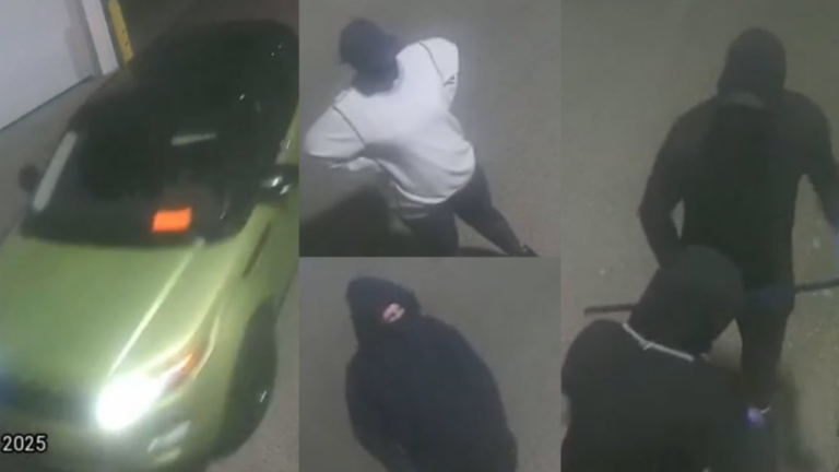 Suspects sought in NE Calgary cannabis store break-in