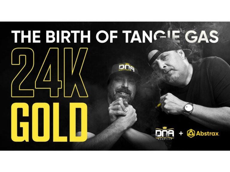 Abstrax and DNA Genetics Unveil Official 24K Gold Signature Series Terpene Profile