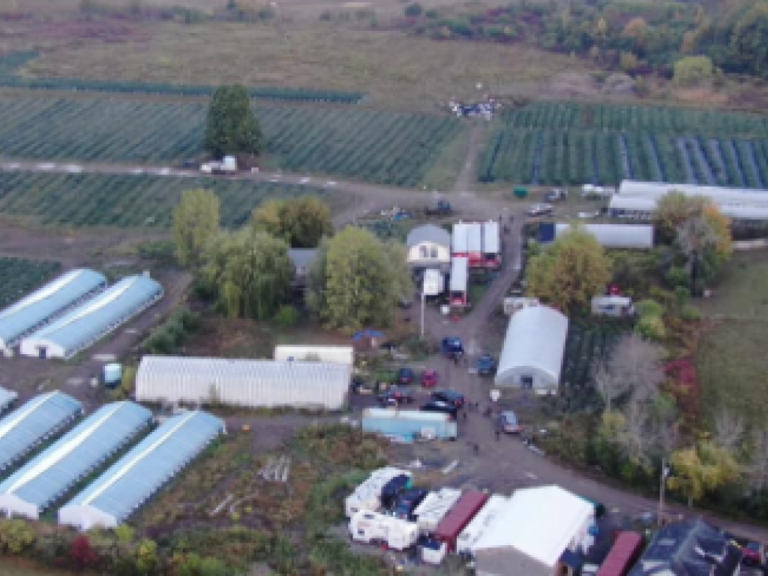 More items seized and warrants sought in Tyendinaga illegal cannabis raids