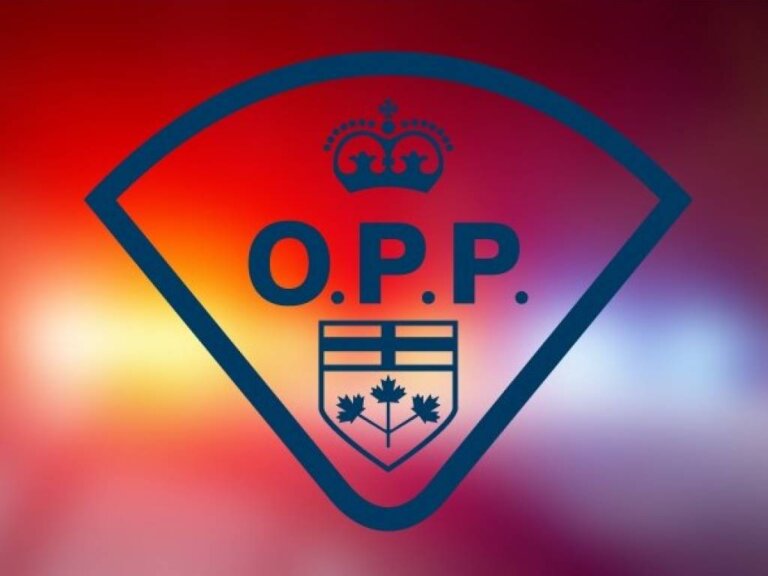 Six people arrested in connection with large cannabis seizure in Centre Hastings