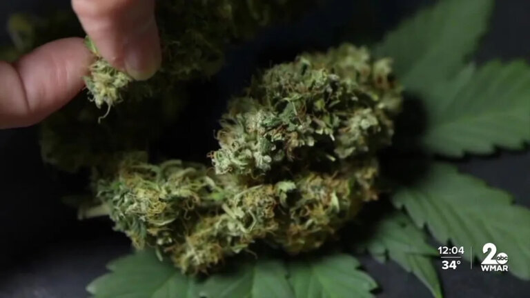 New policy allows Howard County firefighters to use medical cannabis