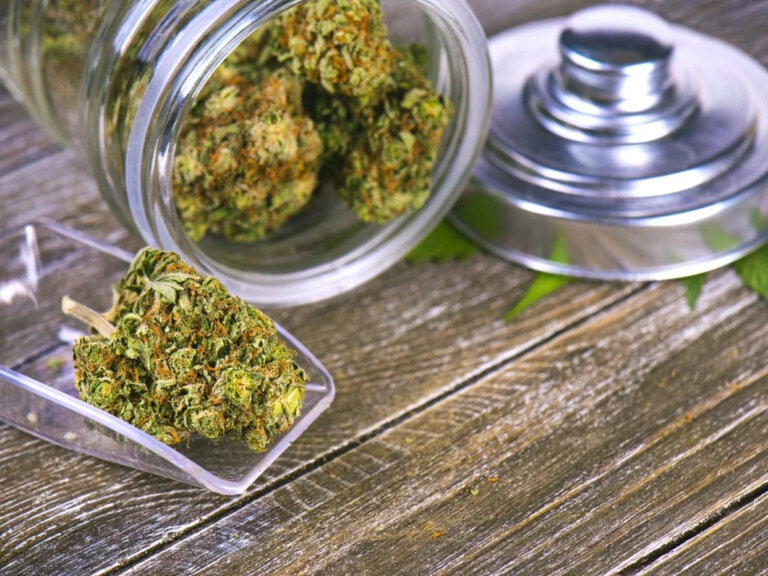 OPINION: Ontario’s legal cannabis stores are closing — because illegal shops allowed to thrive