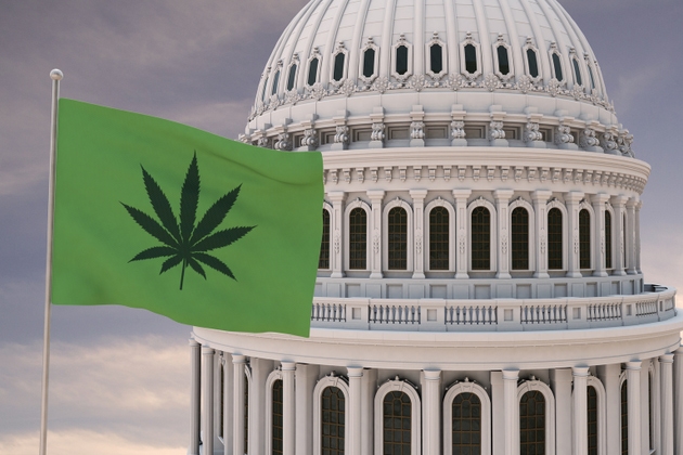 President Trump May Reschedule Cannabis: Should You Buy MSOS Or NewLake Capital?