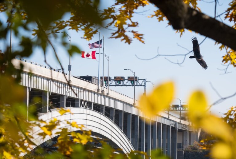 Border officer charged after allowing truck full of opium, cannabis, and tobacco to cross border into Ontario: RCMP