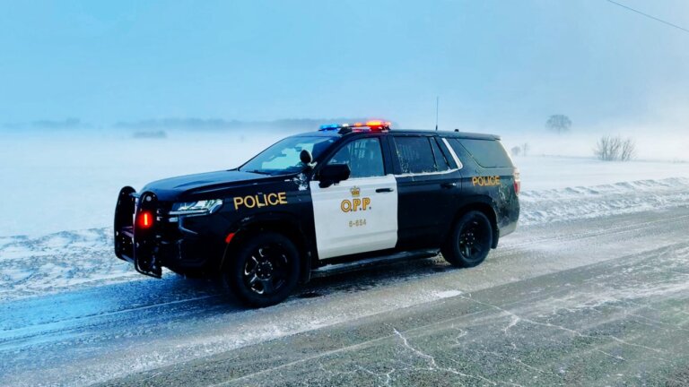 OPP stop near Manitoba border yields drugs, weapons, charges
