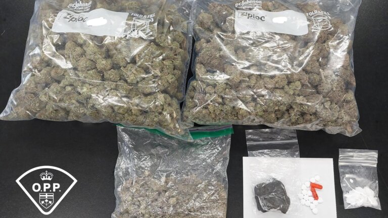 Expired licence plate leads to seizure of 500 grams of cannabis, OPP say