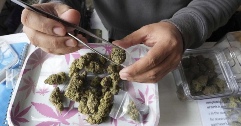 Mounties say there’s no evidence supporting some new N.S. government cannabis claims