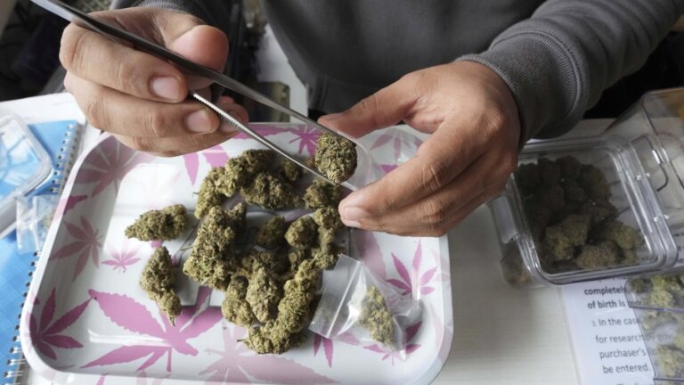 Mounties say there’s no evidence supporting some new N.S. government cannabis claims
